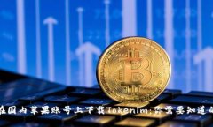 如何在国内苹果账号上下载Tokenim：你需要知道的