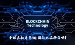 全球虚拟币热潮：国外也在炒作吗？