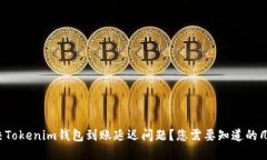 如何解决Tokenim钱包到账延迟问题？您需要知道的