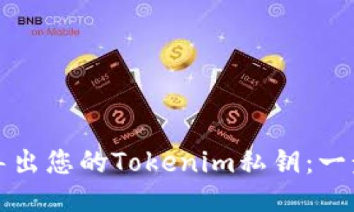 如何安全导出您的Tokenim私钥：一步一步指南