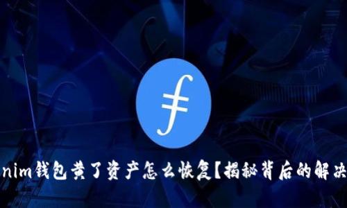 Tokenim钱包黄了资产怎么恢复？揭秘背后的解决方案