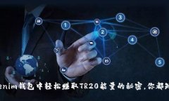 在Tokenim钱包中轻松赚取TR20能量的秘密，你都知道