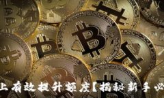   如何在Tokenim上有效提升额度？揭秘新手必知的