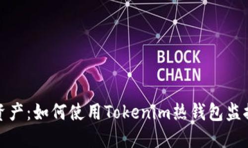 保护你的数字资产：如何使用Tokenim热钱包监控冷钱包安全性