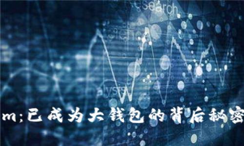 揭秘Tokenim：已成为大钱包的背后秘密与未来展望