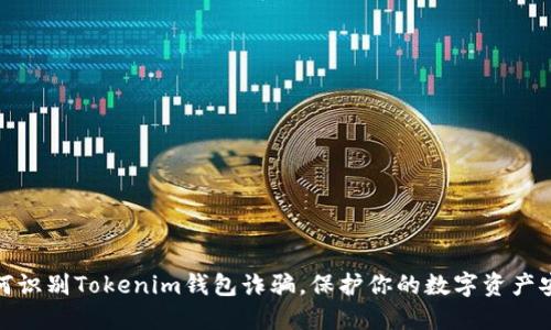 如何识别Tokenim钱包诈骗，保护你的数字资产安全