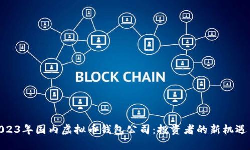 探索2023年国内虚拟币钱包公司：投资者的新机遇与风险