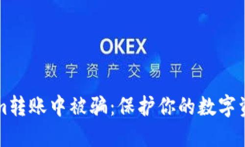 如何避免在Tokenim转账中被骗：保护你的数字资产安全的实用指南