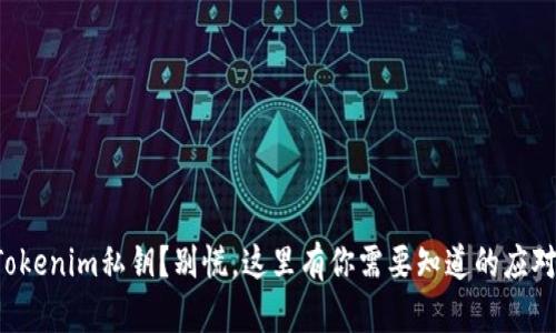 丢失Tokenim私钥？别慌，这里有你需要知道的应对策略！