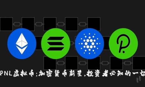 PNL虚拟币：加密货币新星，投资者必知的一切