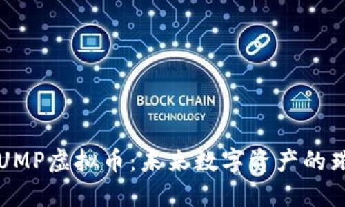 : 揭秘UMP虚拟币：未来数字资产的璀璨之星
