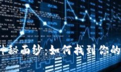 揭秘虚拟币密钥的神秘面纱：如何找到你的数字