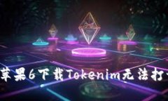 如何解决苹果6下载Tokenim无法打开的问题？
