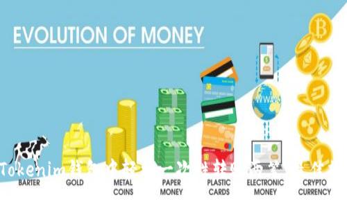 如何在Tokenim钱包中轻松一次性转账两笔，最佳操作指南！