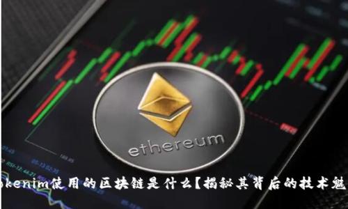 Tokenim使用的区块链是什么？揭秘其背后的技术魅力