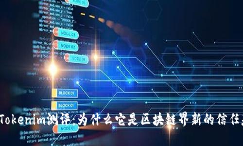 揭秘Tokenim测评：为什么它是区块链界新的信任基石？