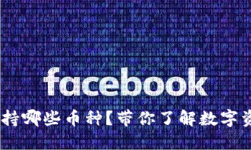 Tokenim钱包支持哪些币种？带你了解数字资产的神秘世界！