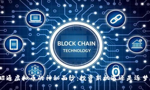 揭开昭通虚拟币的神秘面纱：投资新机遇还是逐梦陷阱？