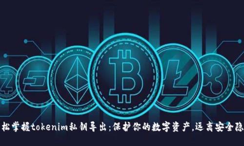 轻松掌握tokenim私钥导出：保护你的数字资产，远离安全隐患
