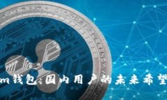 Tokenim钱包：国内用户的未来希望与挑战