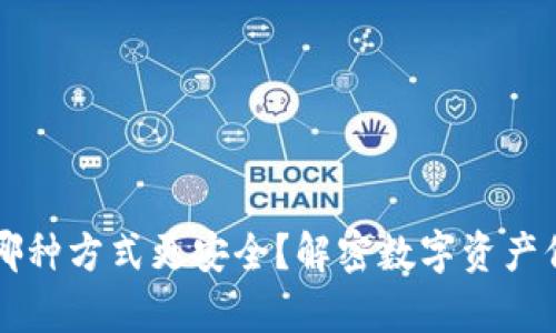 TP与Tokenim：哪种方式更安全？解密数字资产保护的前沿科技