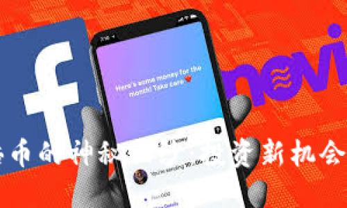 揭开虚拟币千倍币的神秘面纱：投资新机会，还是风险重重？