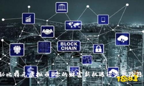 揭秘比特元虚拟币：你的财富新机遇还是风险隐患？