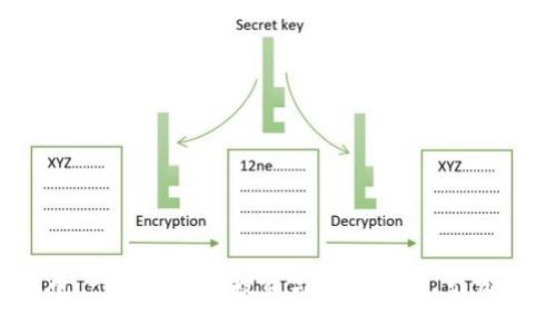 探索体育龙头虚拟币：一种崭新的投资与娱乐方式，引发热潮的背后是什么？