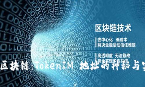 解码区块链：TokenIM 地址的神秘与实用 