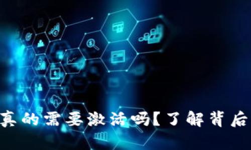 Tokenim钱包真的需要激活吗？了解背后的秘密与风险