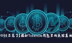 DOGE不见了？揭秘Tokenim钱包里的失踪真相！