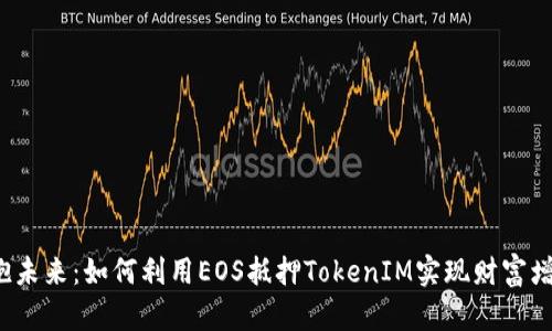 拥抱未来：如何利用EOS抵押TokenIM实现财富增值？