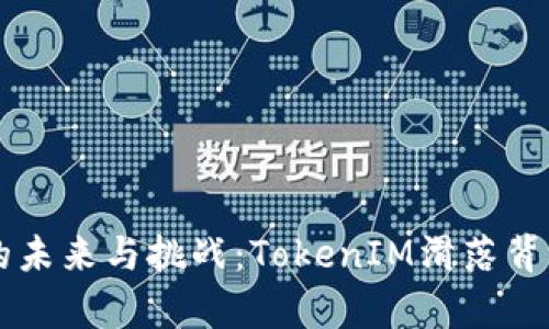 以太坊的未来与挑战：TokenIM滑落背后的启示