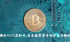 揭秘BITC虚拟币：未来数字货币的潜力与挑战