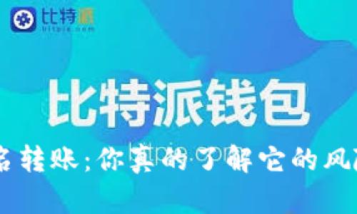 Tokenim匿名转账：你真的了解它的风险与潜力吗？