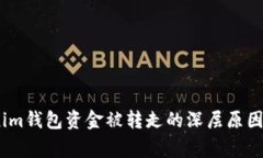 警惕！Tokenim钱包资金被转走的深层原因与防范建