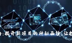 虚拟币上币公告：揭开新项目的神秘面纱，让投