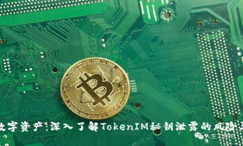 保护你的数字资产：深入了解TokenIM秘钥泄露的风险与应对措施