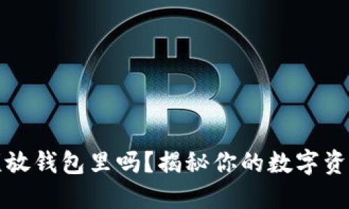 虚拟币必须放钱包里吗？揭秘你的数字资产安全之道