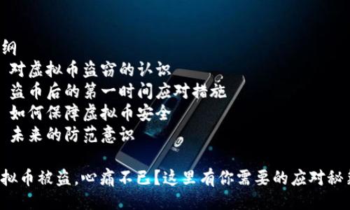 提纲
1. 对虚拟币盗窃的认识
2. 盗币后的第一时间应对措施
3. 如何保障虚拟币安全
4. 未来的防范意识

虚拟币被盗，心痛不已？这里有你需要的应对秘籍！