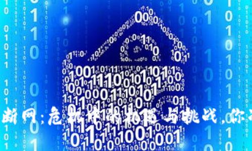 四川虚拟币断网：危机中的机遇与挑战，你准备好了吗?