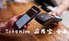 如何安全下载 Tokenim 应用宝：全面指南与小贴士