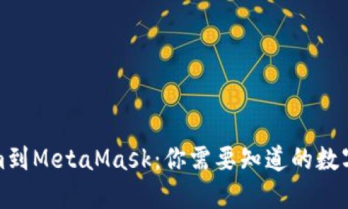 从Tokenim到MetaMask：你需要知道的数字钱包世界