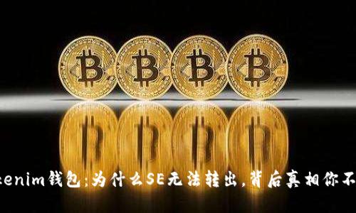 解密Tokenim钱包：为什么SE无法转出，背后真相你不可不知！