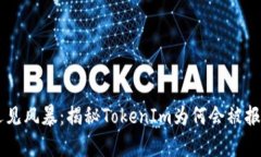 当数字货币遇见风暴：揭秘TokenIm为何会被报毒的