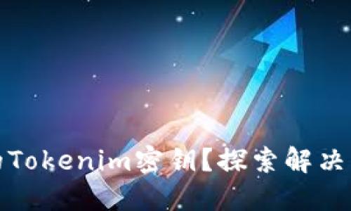 如何找回遗忘的Tokenim密钥？探索解决方案与实用技巧