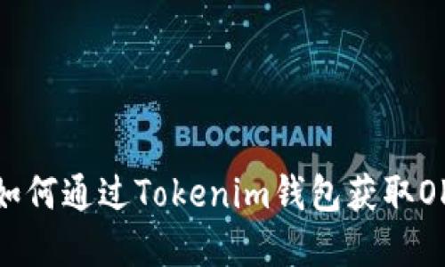 感受空投魅力：如何通过Tokenim钱包获取OKB币的无限潜力
