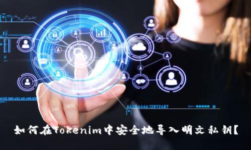 如何在Tokenim中安全地导入明文私钥？