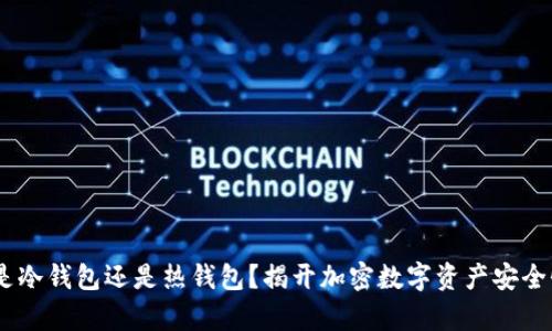 Tokenim是冷钱包还是热钱包？揭开加密数字资产安全性的奥秘！