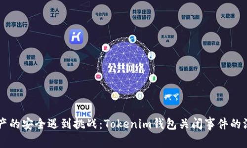 当数字资产的安全遇到挑战：Tokenim钱包关闭事件的深思与启示